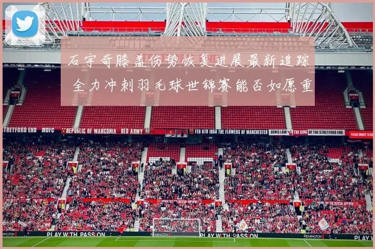石宇奇膝盖伤势恢复进展最新追踪 全力冲刺羽毛球世锦赛能否如愿重返巅峰赛场